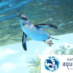 サンシャイン水族館見どころトップテン【過去ログ】